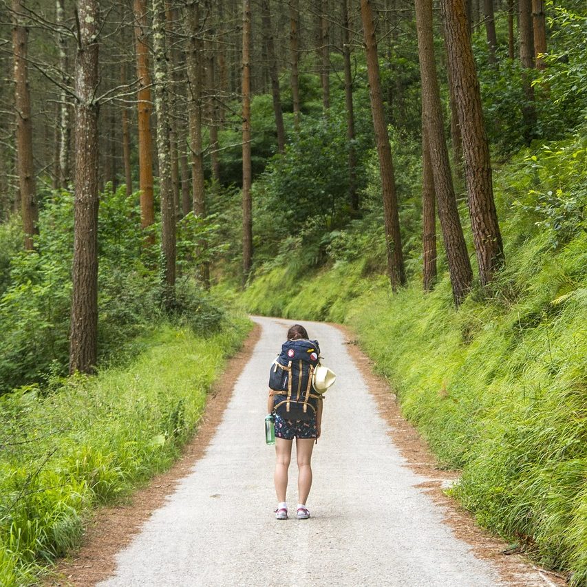 Hiker standing on a forest path with packed hiking bag on a summer day