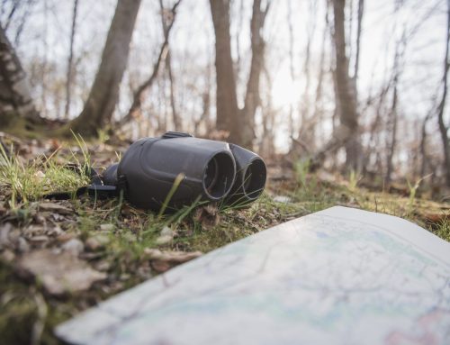 Why modern Trail Management needs more than just Maintenance