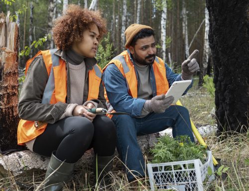 How to create and schedule inspections