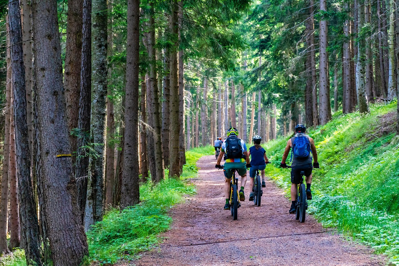 a group of mountain bikers riding into the forest