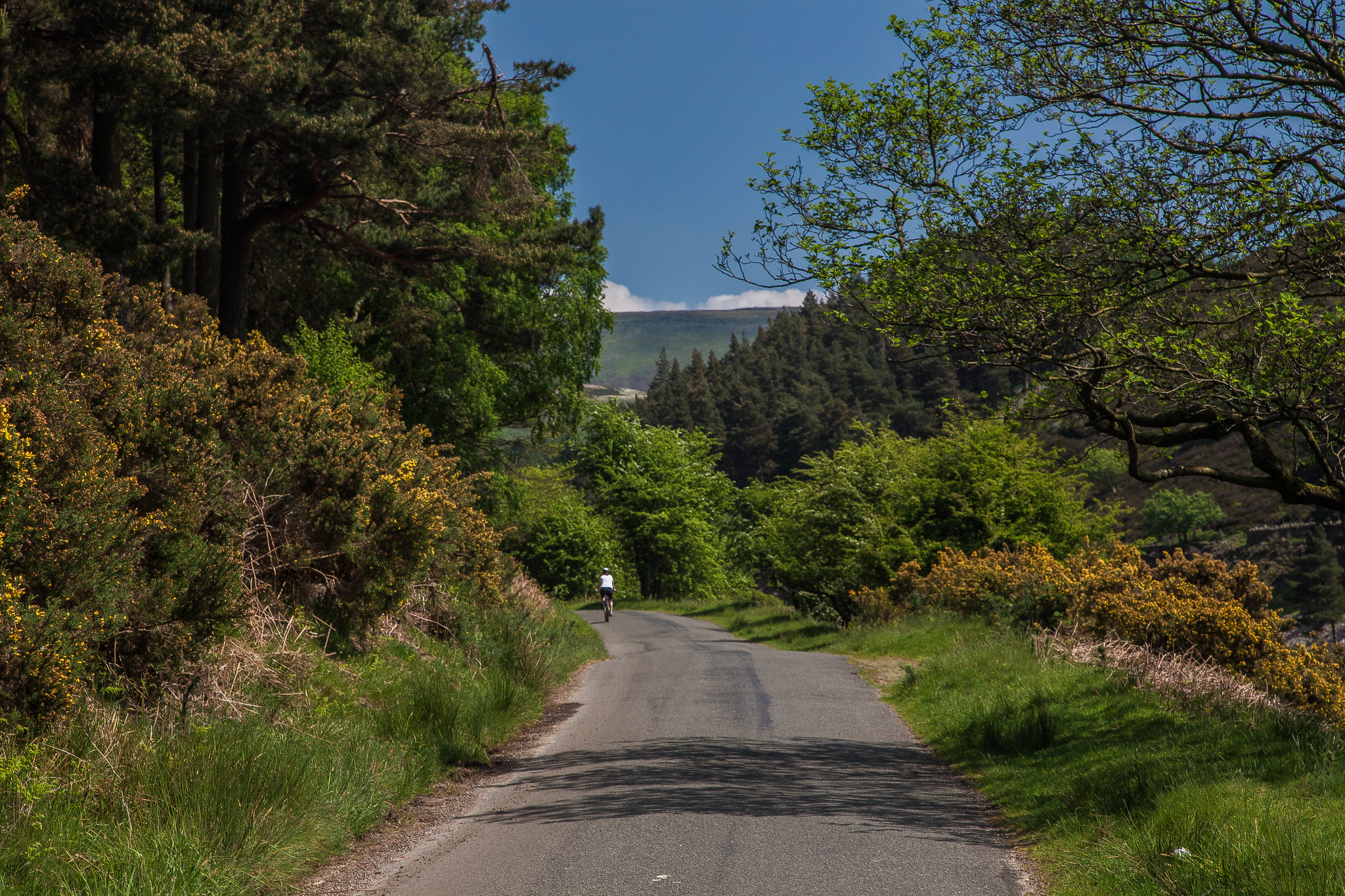 Howden Reservoir bike path